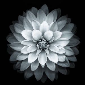 Meet your Posher, Kori